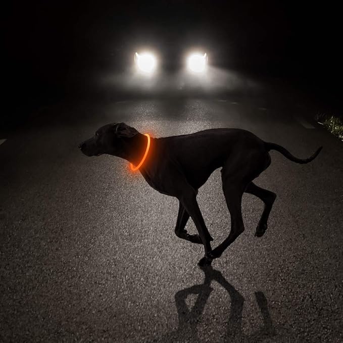 HIGO Light Up Dog Collar USB Rechargeable LED Dog Collar Glow in The Dark, TPU Flash Dog Necklace