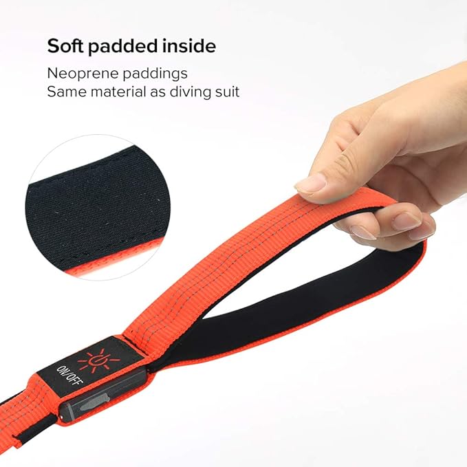 Candofly LED Dog Leash Rechargeable, 4 Ft Glow in The Dark Light Up Dog Leash, Nylon Reflective Dog