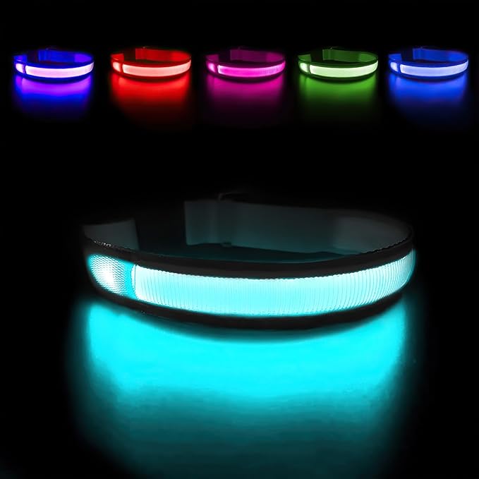 MASBRILL Light Up Dog Collars - LED Dog Collar Rechargeable Lighted Dog Collars for Night