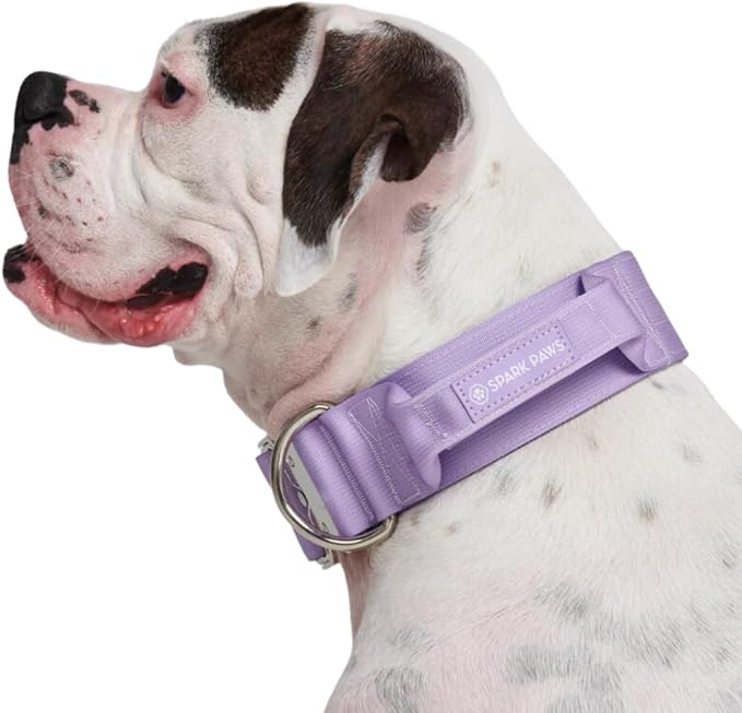 Spark Paws Tactical Dog Collar - Heavy Duty, Premium Quality, Thick and Durable for Large and