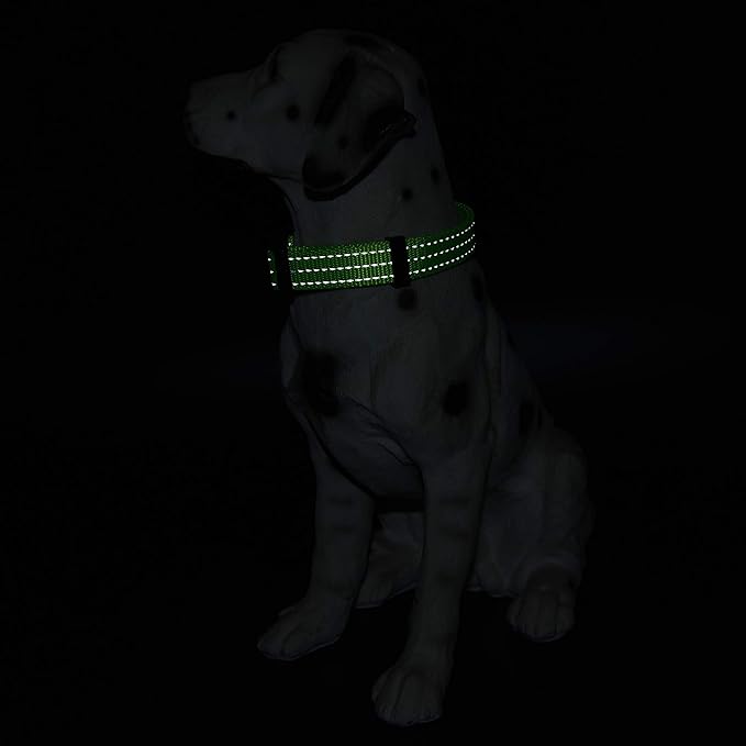Mile High Life Dog Collar | Nylon Reflective Dog Collars | Light Weight Puppy Collars | Lime Green