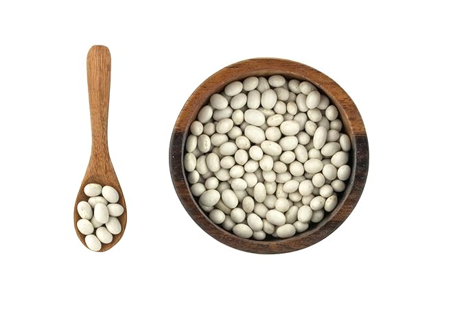 Organic Navy Beans Raw non GMO Vegan Bulk - 9LB