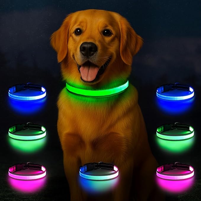 Light Up Dog Collar, Multicolor LED Dog Collar with 7 Modes, USB-C Rechargeable Reflective Glow