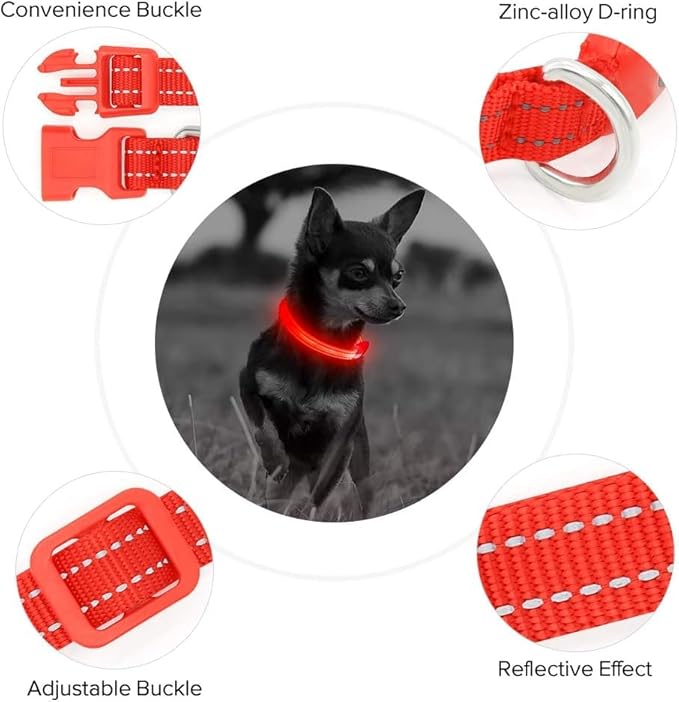 BSEEN Light Up Dog Collar, Reflective LED Dog Collar Rechargeable Glowing Puppy Collars for Small