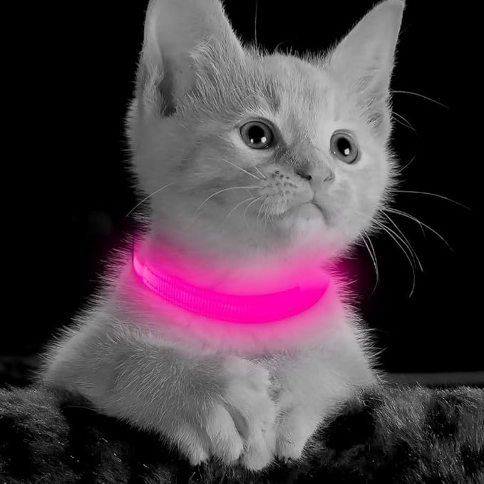 BSEEN Light Up Dog Collar - Reflective LED Dog Collar Rechargeable Glowing Pet Collar for Puppies &