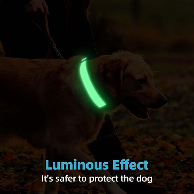 Personalized Dog Collars for Small & Large Dogs with Custom Name and Phone Numbers, Glow in The