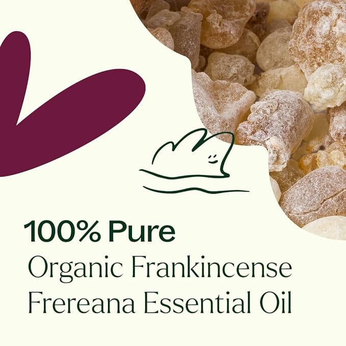 Plant Therapy Organic Frankincense Frereana Essential Oil 100% Pure, USDA Certified Organic