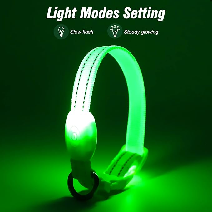 Visinite Light Up Dog Collars for Small Dogs,LED Dog Collar Light Rechargeable,Fully Adjustable