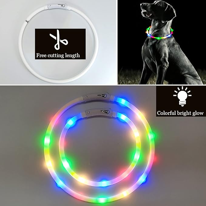 Light Up Dog Collar, Rechargeable Glowing Dog Collar, Light Dog Collar for Night Walking with 1640