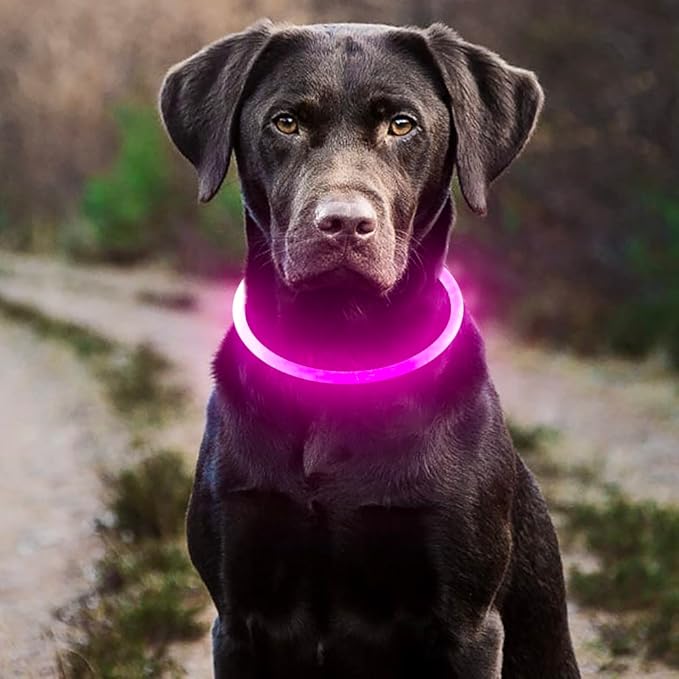 HIGO LED Dog Collar, USB Rechargeable Light Up Dog Collars Glow in The Dark, Waterproof LED Dog