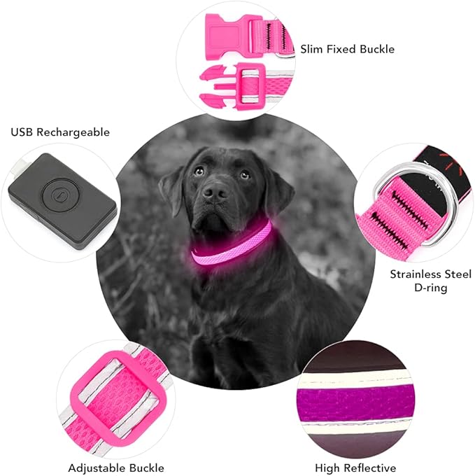 YFbrite Light up Dog Collar, USB Rechargeable LED Puppy Collar Super Bright Adjustable Glowing Dog