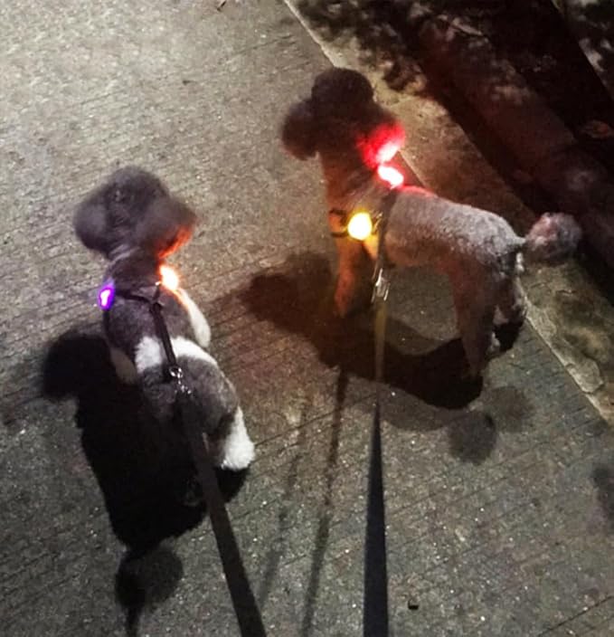Avando Dog Collar Light, Dog Lights for Might Walking, Waterproof Silicon LED Dog Collar Safety