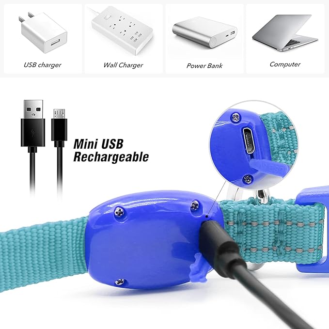 Visinite Light Up Dog Collars for Small Dogs,LED Dog Collar Light Rechargeable,Fully Adjustable