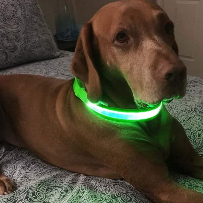 MASBRILL LED Dog Collar,Night Light Up Dog Collars Rechargeable Waterproof Glowing Dog Collar for