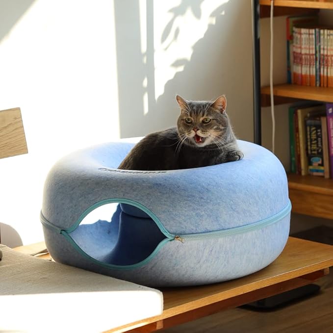 CATTASAURUS Peekaboo Cat Cave for Multiple & Large Cats Up to 30-45 Lbs, Scratch Detachable &