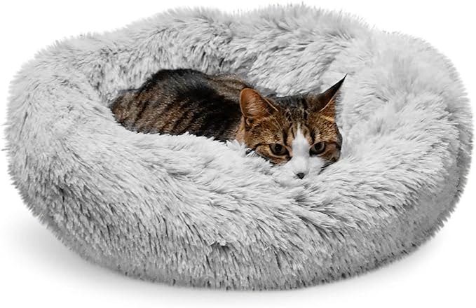 Whiskers & Friends Cat Bed, Cat Beds for Indoor Cats Washable, Orthopedic Soft Fluffy Round Calming