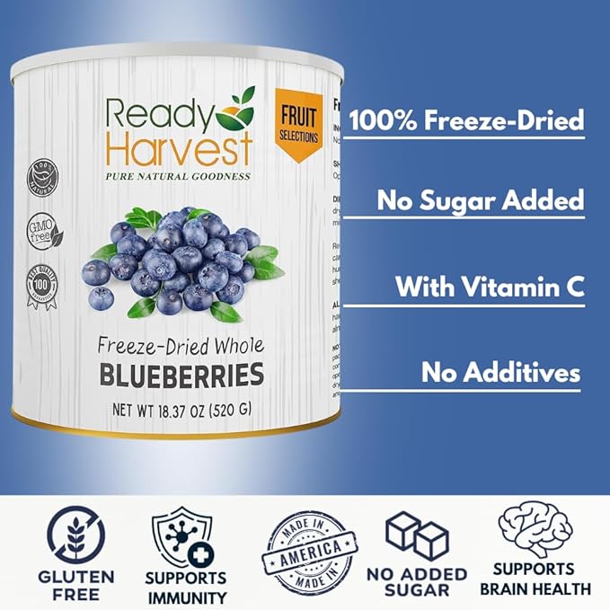 Ready Harvest Freeze-dried Blueberries Fruit Healthy Snacks Trail Mix Camping food, School Snacks