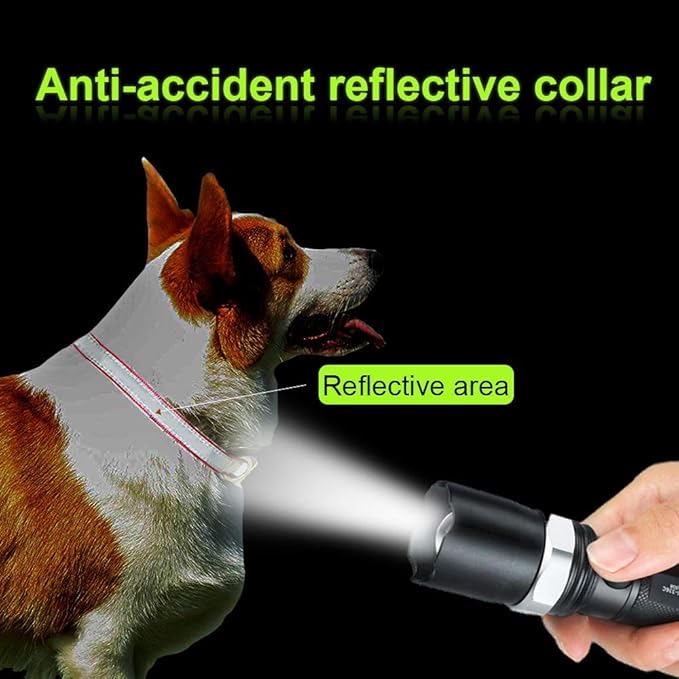 ROKHEVN WANTIG Embroidered Personalized ID Collar, 4 Adjustable Sizes: Extra-Small, Small, Medium