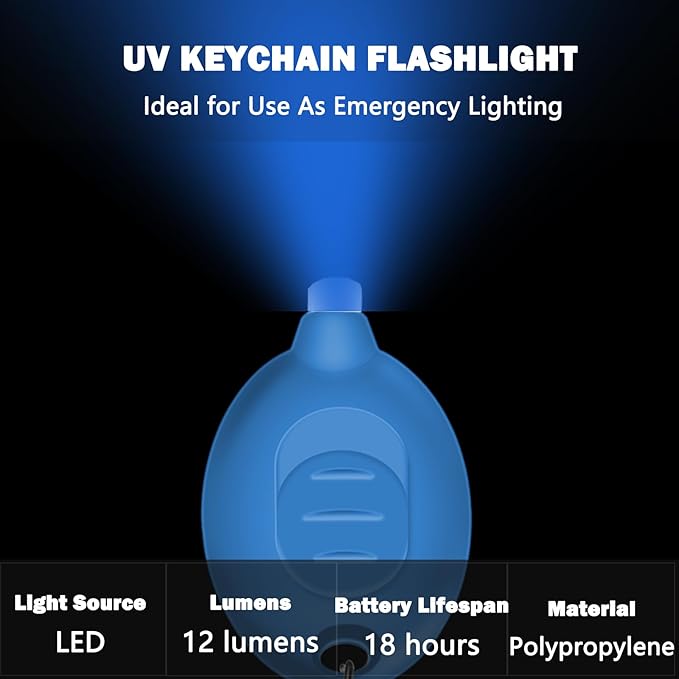 Mini LED Blue Light Keychain Flashlight, 12 Lumens Small Portable Pocket Torch, Ultra Bright Micro