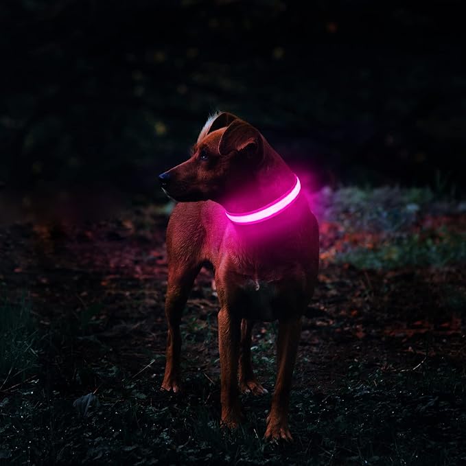 MASBRILL Light Up Collar, Glow LED Rechargeable Flashing Night Walking Collar - Waterproof, 4