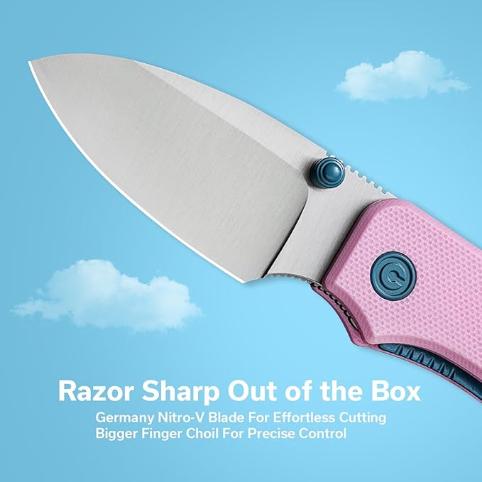 CIVIVI Small Pocket Knife for EDC, Ben Petersen Folding Knife Baby Banter with 2.34" Nitro-V Blade