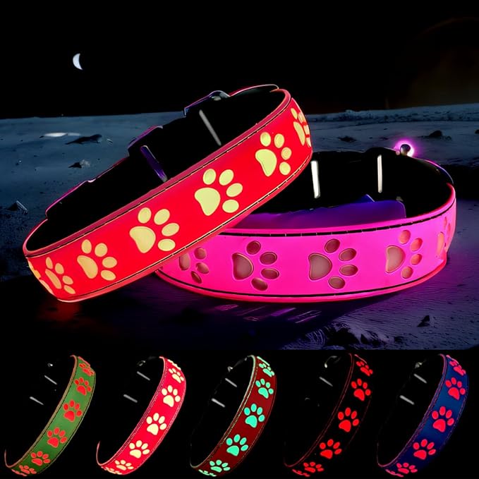 LED Light Up Dog Collar, USB-C Rechargeable, Multicolor Paw Print Design, 15 Modes Lighting Night