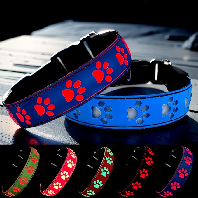 LED Light Up Dog Collar, USB-C Rechargeable, Multicolor Paw Print Design, 15 Modes Lighting Night