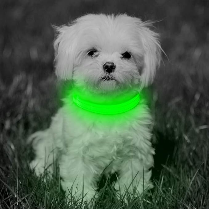 BSEEN Light Up Dog Collars - Glowing LED Dog Collar Rechargeable Puppy Collar for Small Dogs &
