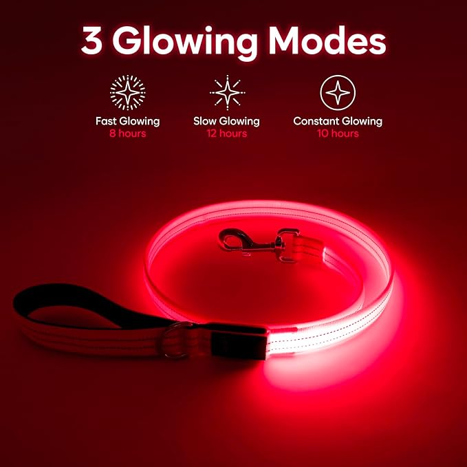 LED Dog Leash, 4 Ft Light Up, USB Rechargeable, Waterproof, Nylon Reflective with Padded Handle