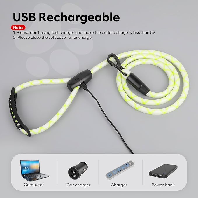 Colaseeme Light Up Dog Leash, LED Pet Leashes USB Rechargeable, Glow Safety Dogs Lights at Night