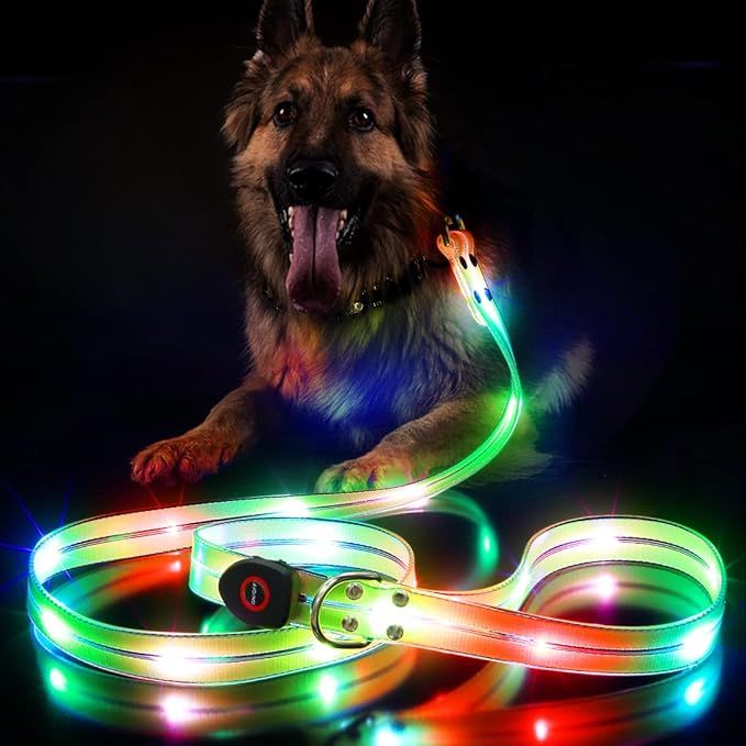 LED Waterproof Pet Dog Leash USB Rechargeable Fashionable Color Glow in The Dark Night Walk Safety