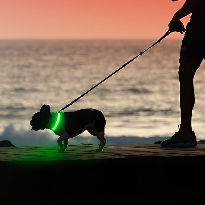 Illumifun Light Up Dog Collar, USB Rechargeable LED Dog Collar, Reflective Flash Pet Lighted Collar