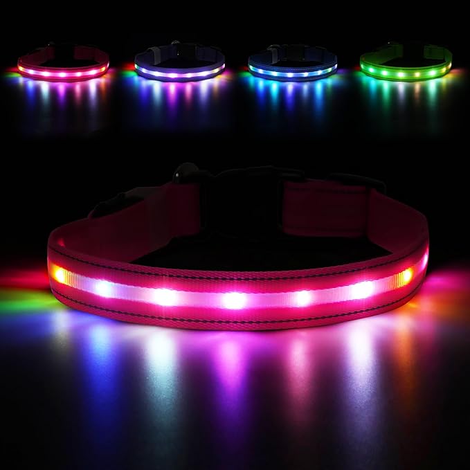 LED Dog Collar, Light Up Dog Collar, USB Rechargeable - Brightest Dog Lights for Night Walking, 6