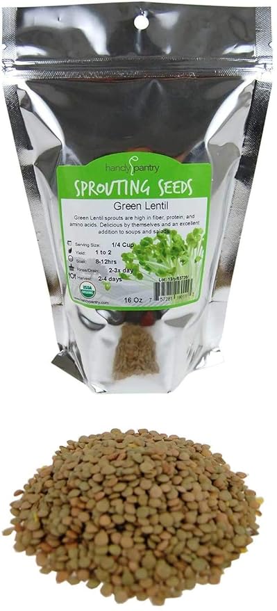 Organic Dried Green Lentil Sprouting Seed: 1 Lb - Dry Lentils for Planting Garden Seeds, Soup