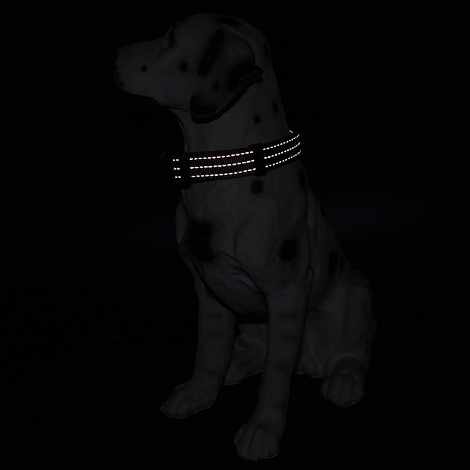 Mile High Life Dog Collar | Nylon Reflective Dog Collars | Light Weight Puppy Collars | Red Dog