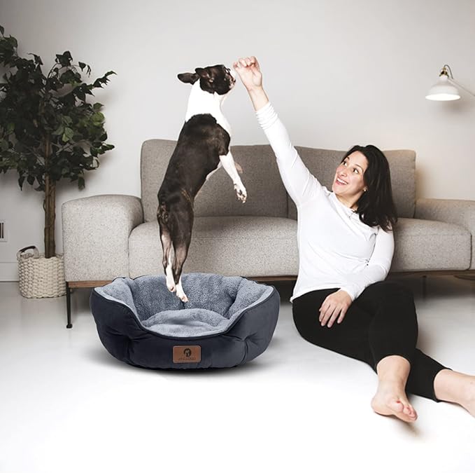 Asvin Medium Dog Bed for Medium Dogs, Large Cat Beds for Indoor Cats, Pet Bed for Puppy and Kitty