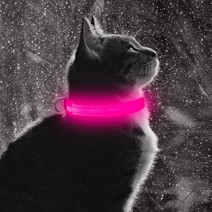 BSEEN Light Up Dog Collar - Reflective LED Dog Collar Rechargeable Glowing Pet Collar for Puppies &