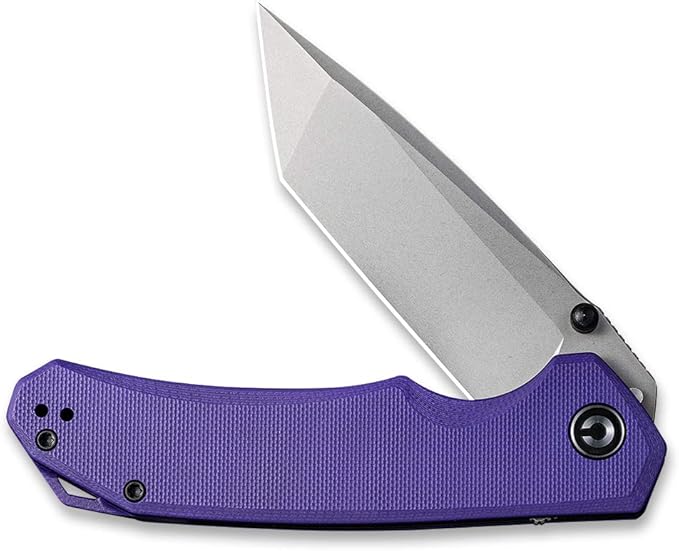 CIVIVI Brazen Folding Pocket Knife,3.5-Inch Tanto D2 Plain Blade,G-10 Outdoor Camping Hiking Knife