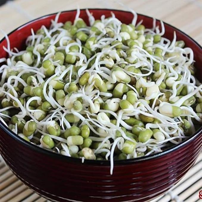 Whole dried Organic Mung Beans aka 'Green Gram' 'Maash' 'Moong' Prewashed Clean Ready to Cook non