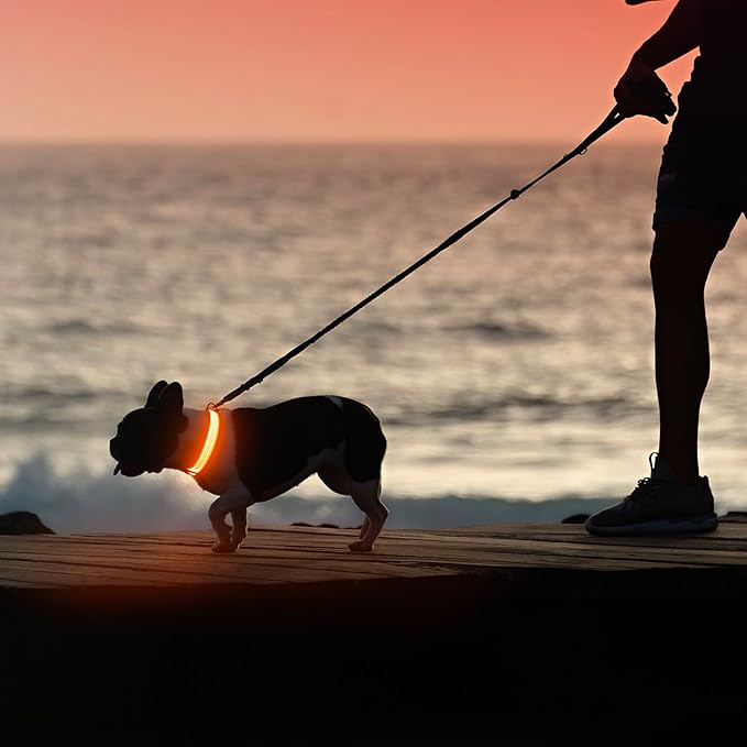 Illumifun LED Dog Collar USB Rechargeable Light Up Dog Collar, Reflective Pet Safety Collar Light