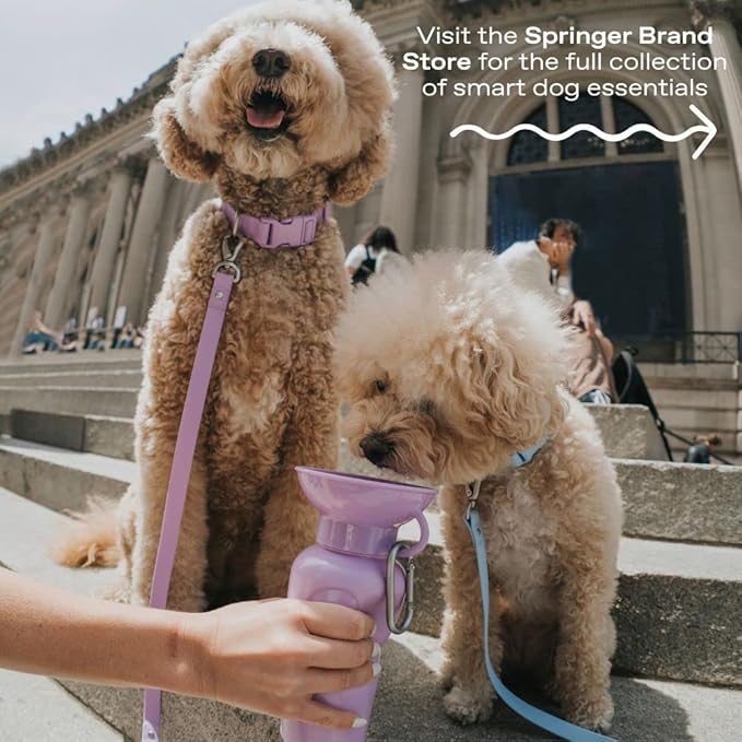 Springer Dog Water Bottle | Portable Travel Water Bottle Dispenser for Dogs | Dog Gift Seen on