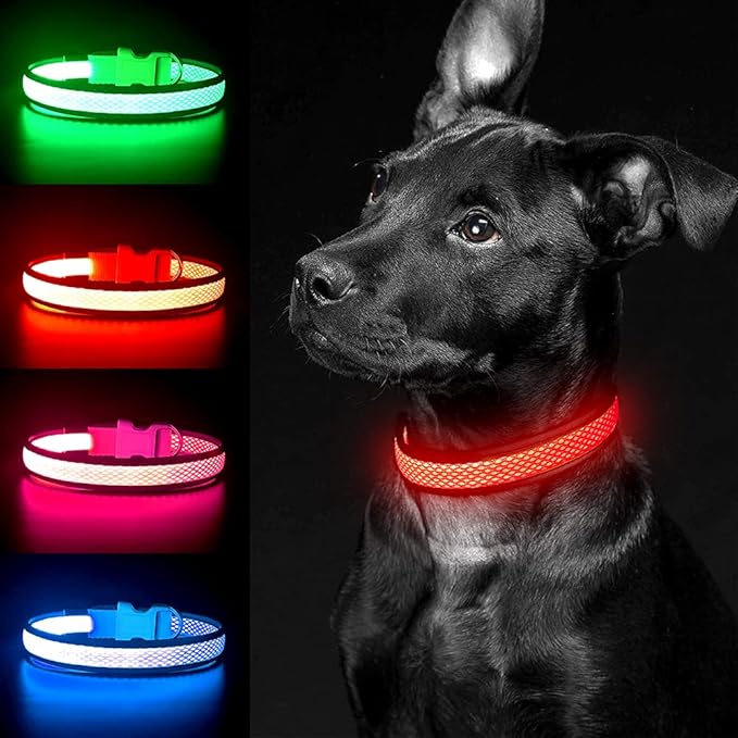 YFbrite Light up Dog Collar, USB Rechargeable LED Puppy Collar Super Bright Adjustable Glowing Dog