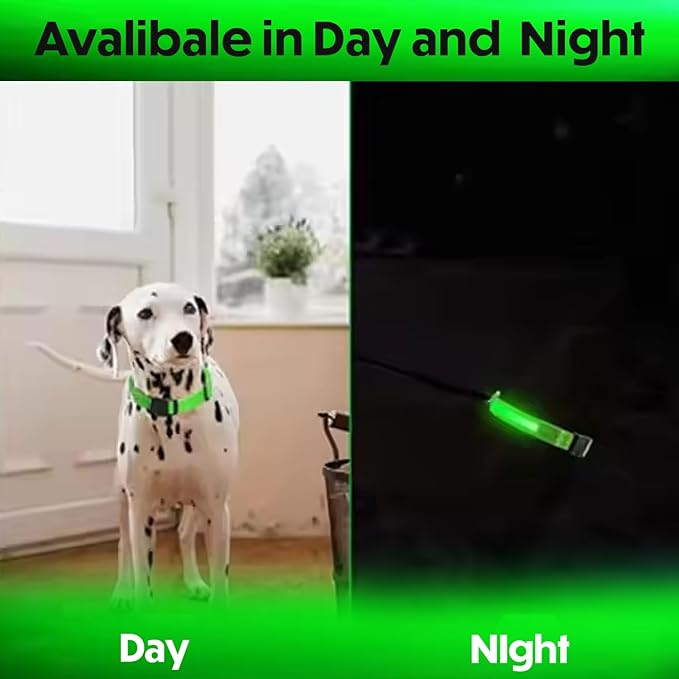 Light Up Dog Collar ??Reflective, Adjustable, Rechargeable Electronic Glow Pet Collars ??Bright