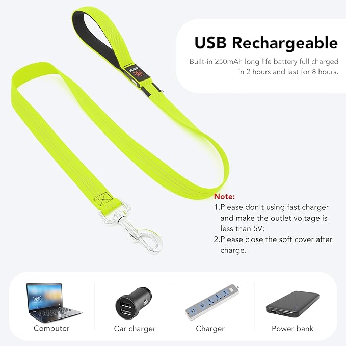 Colaseeme Light Up Dog Leash, LED Pet Leashes USB Rechargeable, Glow Safety Dogs Lights at Night