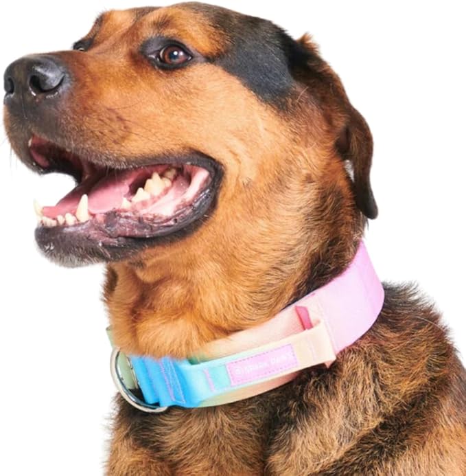 Tactical Dog Collar with Handle - Premium Quality Collar, Robust and Durable Design for Large