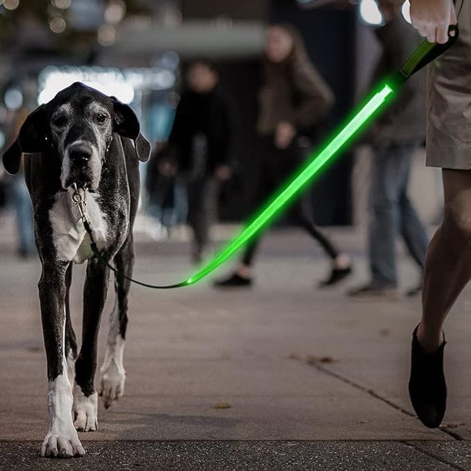 Candofly Glowing LED Dog Leash, Rechargeable Pet Leash with Lights, 4 Ft Light Up Dog Leash for