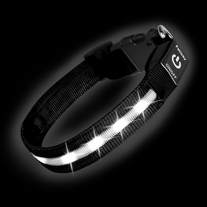 Super Bright LED Dog Collar - Fully Waterproof & Adjustable Glow Collar - USB-C Rechargeable for