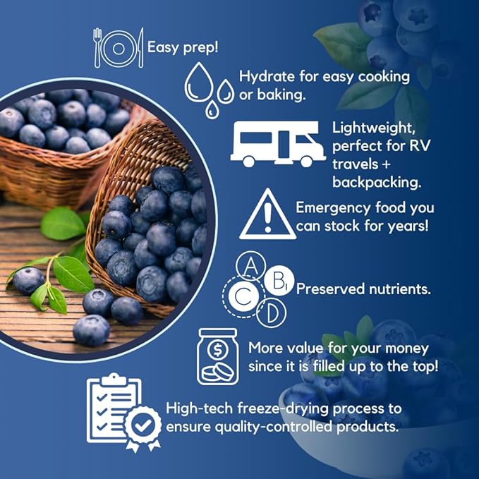 Ready Harvest Freeze-dried Blueberries Fruit Healthy Snacks Trail Mix Camping food, School Snacks