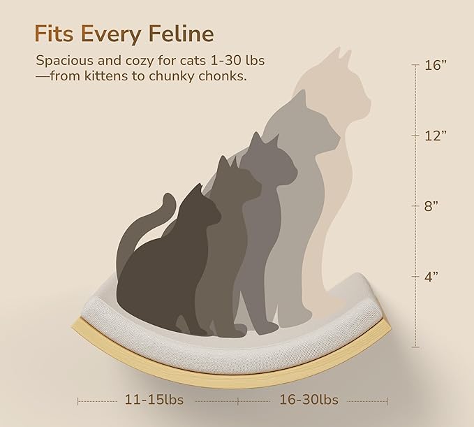 4-Piece Cats Wall Furniture with Cat Window Perch – Wood Wall Mounted Cat Shelves Set with