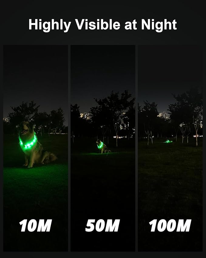 Joytale Light Up Dog Collar, Rainproof and Rechargeable LED, 9 Flashing Modes, Glow for Night